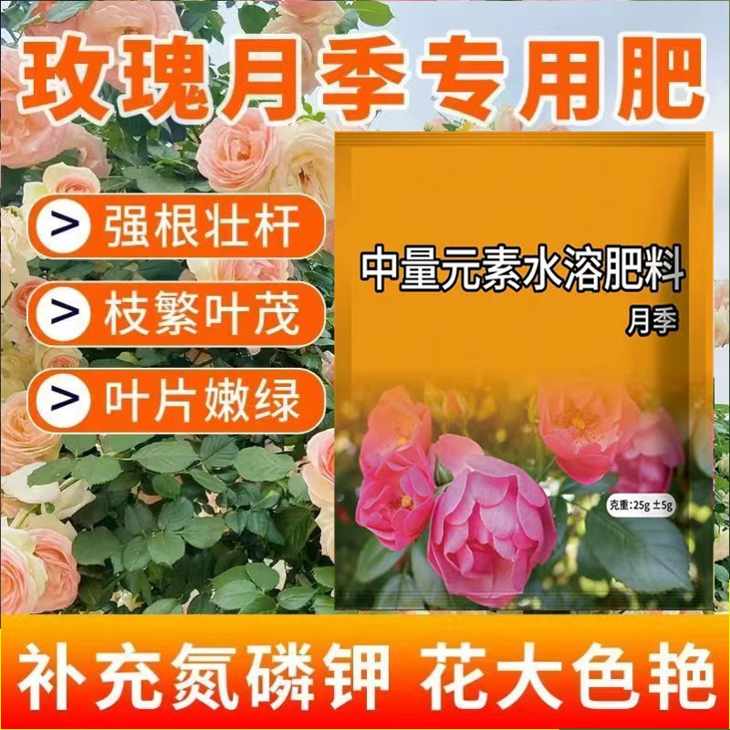 月季玫瑰花肥增根壮苗促花期