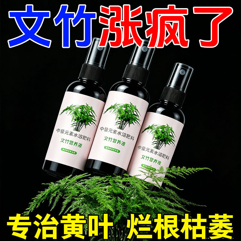 文竹专用营养液治叶子发黄盆栽