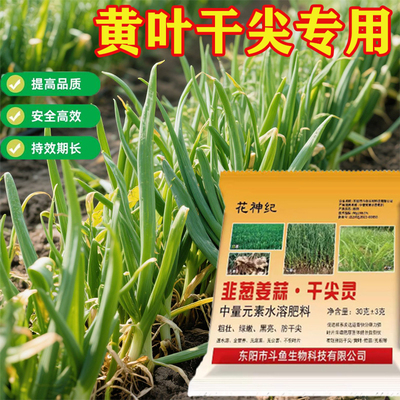 葱姜蒜菌净韭菜干尖灵浓绿亮泽