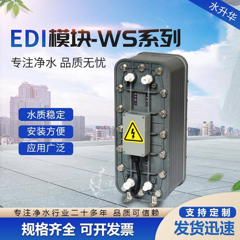 250升膜块电解超纯水制取设备EDI模块透析室车用尿素水处理设备