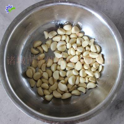 商用大蒜脱皮机全自动剥蒜器干式环保商用大蒜脱皮机