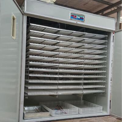 德州孵化设备厂供应6336枚鸡蛋全自动孵化机器孵化箱