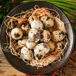 新鲜鹌鹑蛋杂粮喂养现捡现发50枚营养丰富口感细腻家禽蛋类
