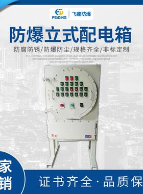 厂家供应防爆配电箱IIC防爆立式配电箱立式控制柜开关箱