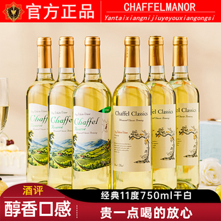 喆斐尔11度微醺干白葡萄酒750ml男女士低度红酒酒吧ktv歌厅酒水