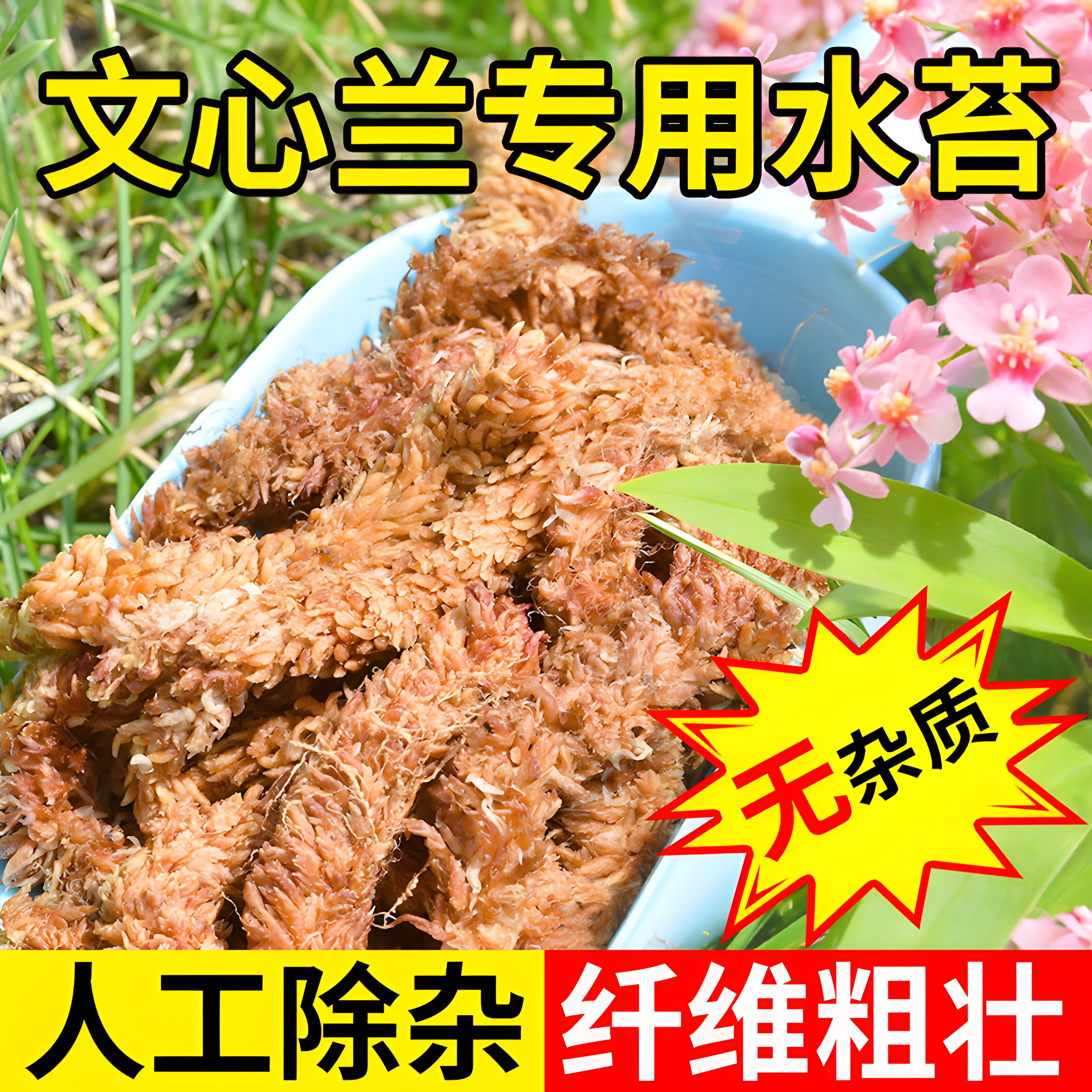 智利进口七星水苔毛毛虫干苔藓兰花营养土乌龟冬眠垫材蝴蝶兰专用