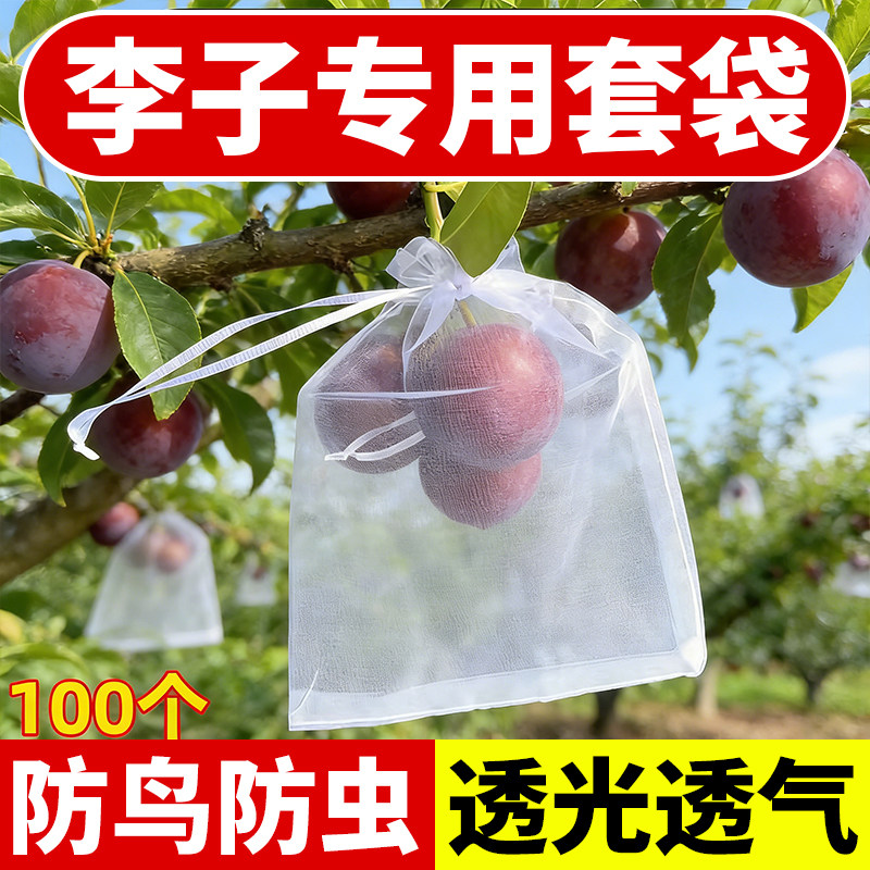 李子套袋专用袋子防虫防鸟神器纱网袋石榴桃子苹果梨套袋透气透光