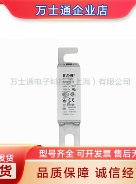 170M1802/1803/1804/1805/1806/1807/1808/1809/1810熔断器现货