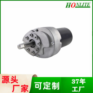 慢榨机电机220V直流微型100W减速电机斜齿轮箱偏心轴原汁机电机
