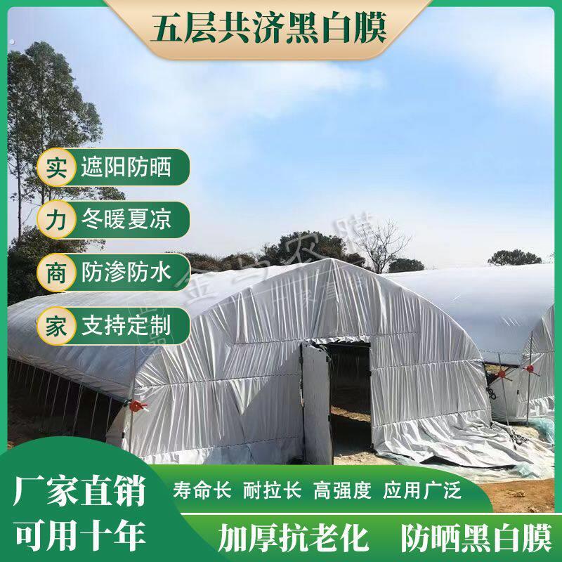 黑白膜塑料布加厚大棚膜养殖防晒隔热保温遮光家用遮盖反光黑色