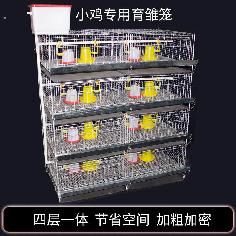 加粗加密小鸡笼育雏笼养殖雏鸡笼子鹌鹑笼鸭苗小鸭子笼芦丁鸡笼子