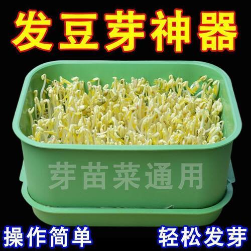 新款发豆芽机快速发豆芽种植