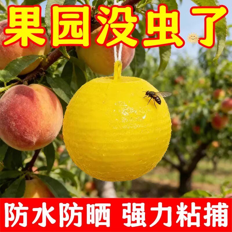 可降解果园强力诱蝇球防实蝇