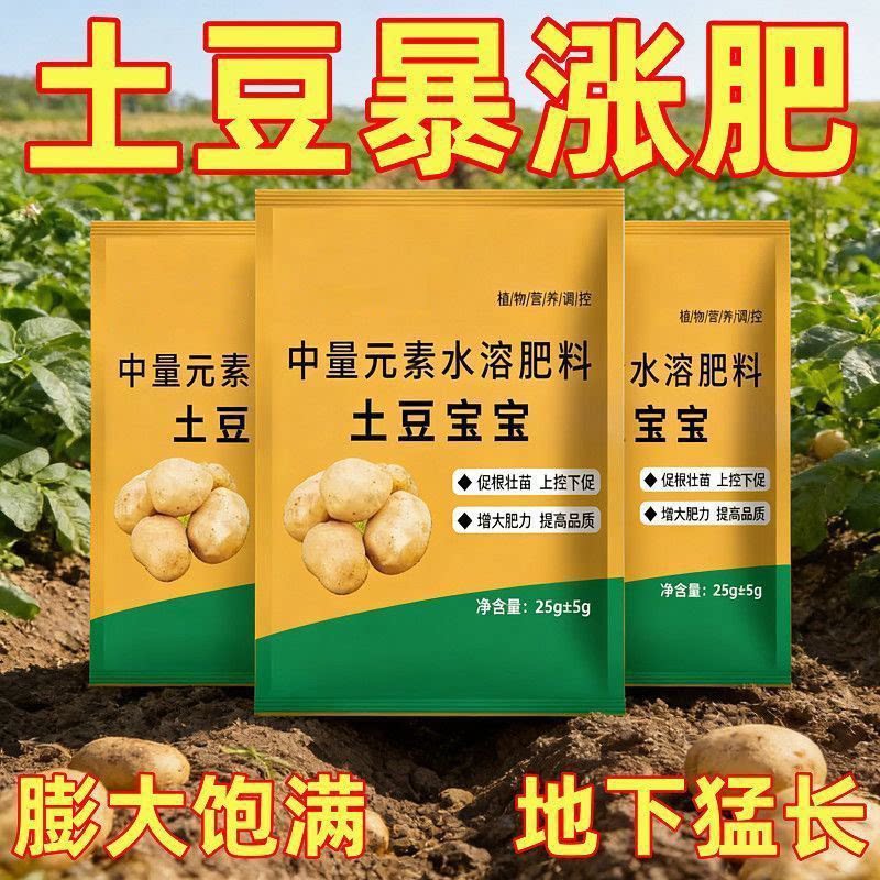 土豆种植水溶肥膨大生根壮苗