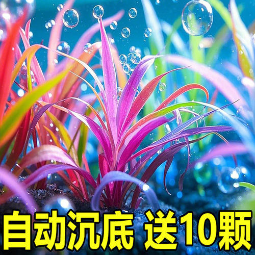 鱼缸造景仿真海草摆件永葆鲜亮