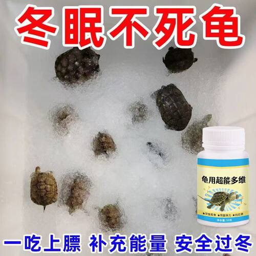 乌龟冬眠急救电解多维软甲不爱吃