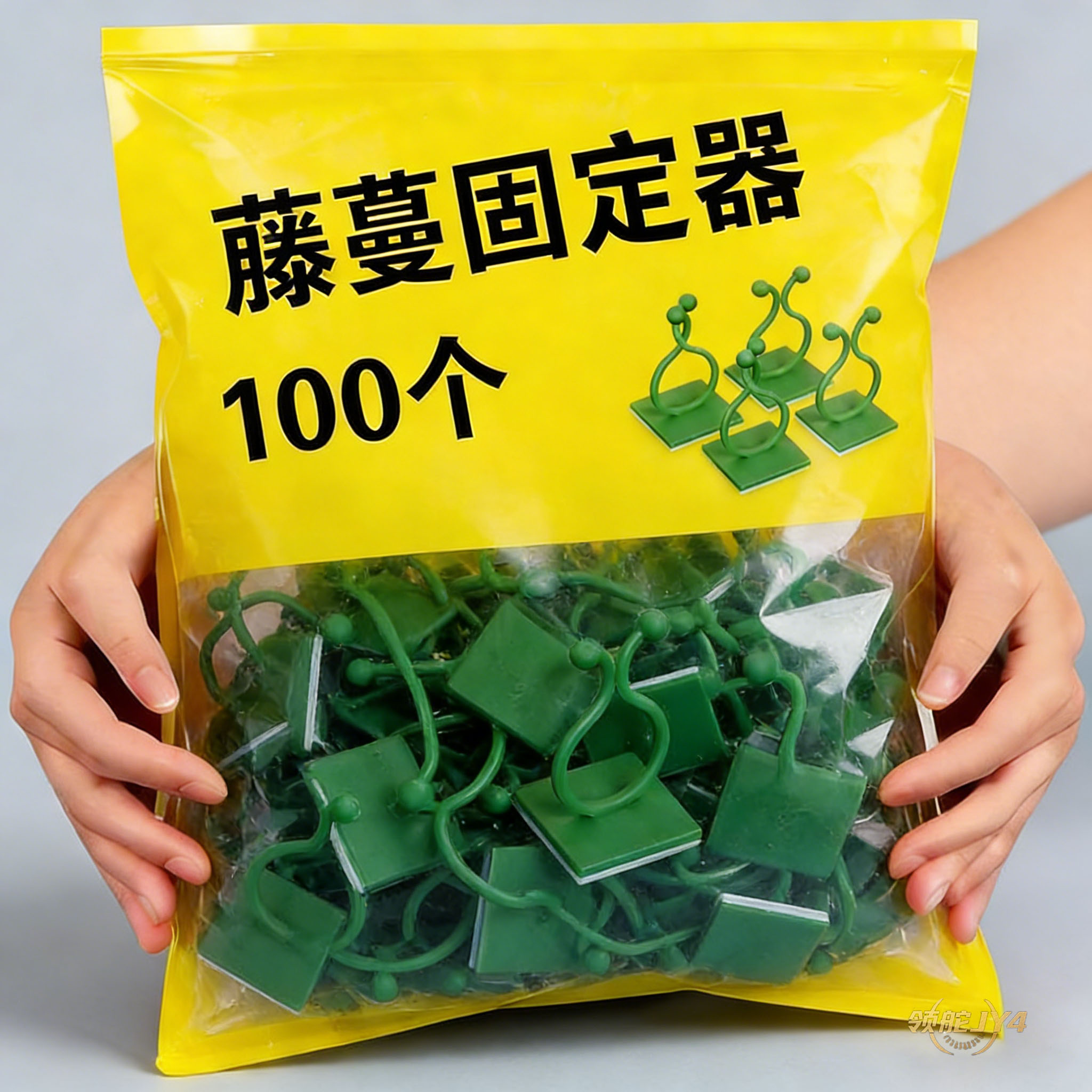 领舵绿萝爬墙无痕粘钩