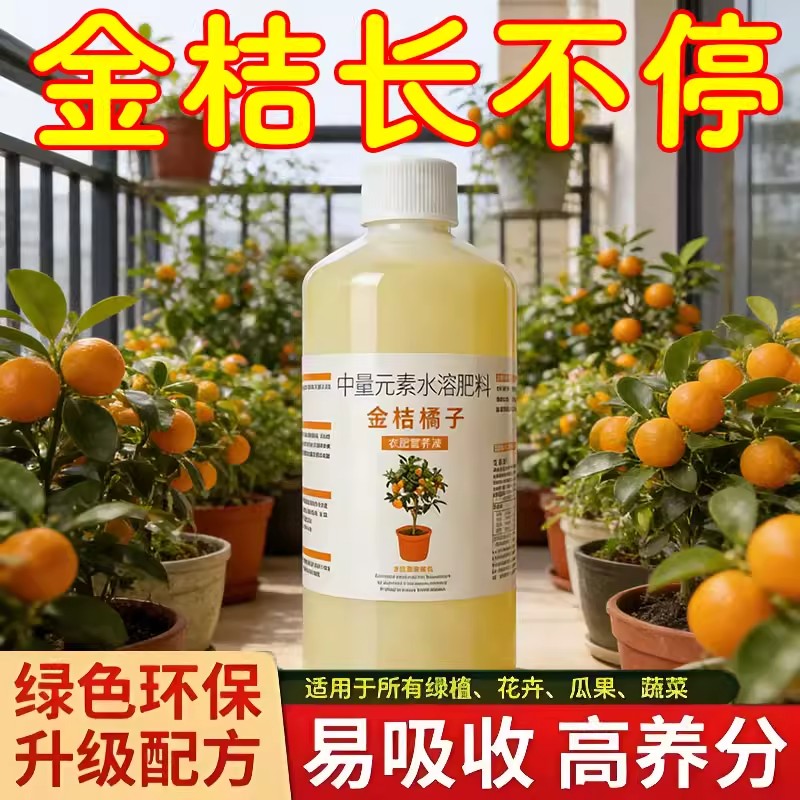 金桔橘子树专用有机营养液