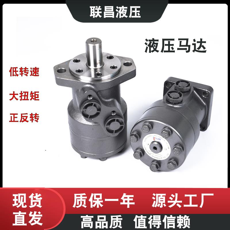 摆线液压马达BMR/50/80/100/125/160/200/250/315油压马达 油马达