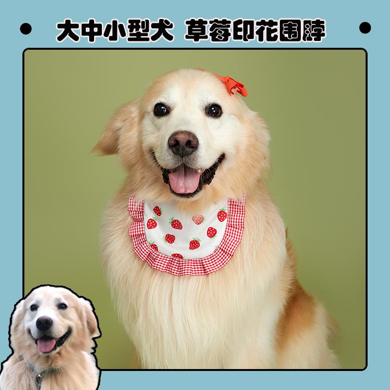 港子与狗宠物口水巾小中大型犬萨摩比熊金毛围脖围巾狗狗领结饰品