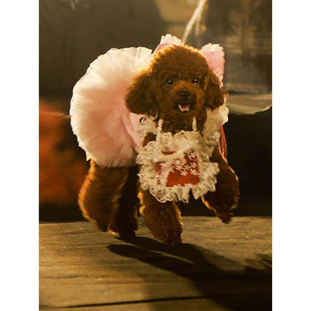 私宠手作宠物结婚送戒指包狗狗婚纱配件猫狗挎包结婚宠物背包定做