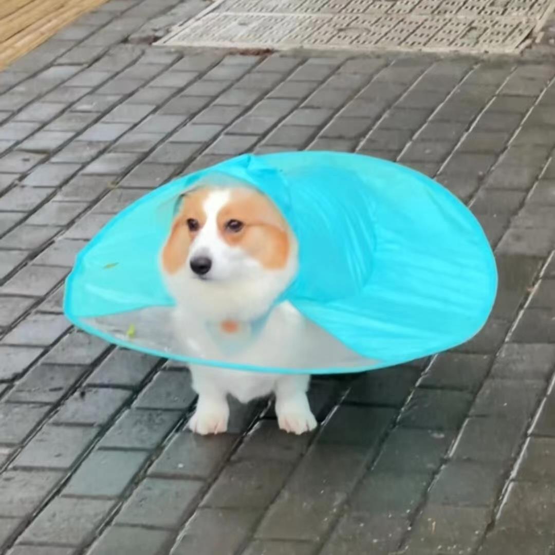 狗狗雨衣柯基斗篷式雨伞帽飞碟雨衣中小型犬雨披宠物雨帽雨天衣服