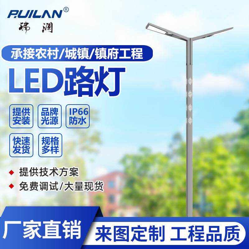 LED双臂路灯6/8/10/12米市政道路公园景区广场农村30W60W100W路灯