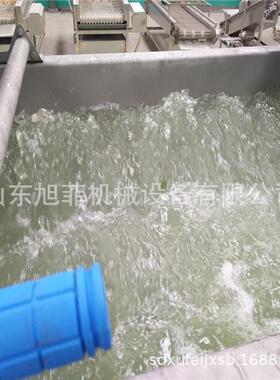 果蔬旋流CPZ流净清清洗机 菜涡洗设备