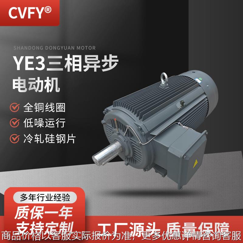三相异步电动机 YE3-315L1/L2-10极电机 75/90W 600r/min 380V