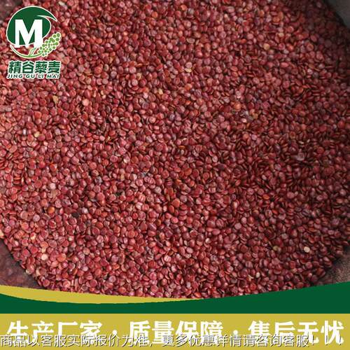 OLY枣仁去，皮抛光机，酸枣-脱皮机酸时产100250KG酸枣仁加工设备