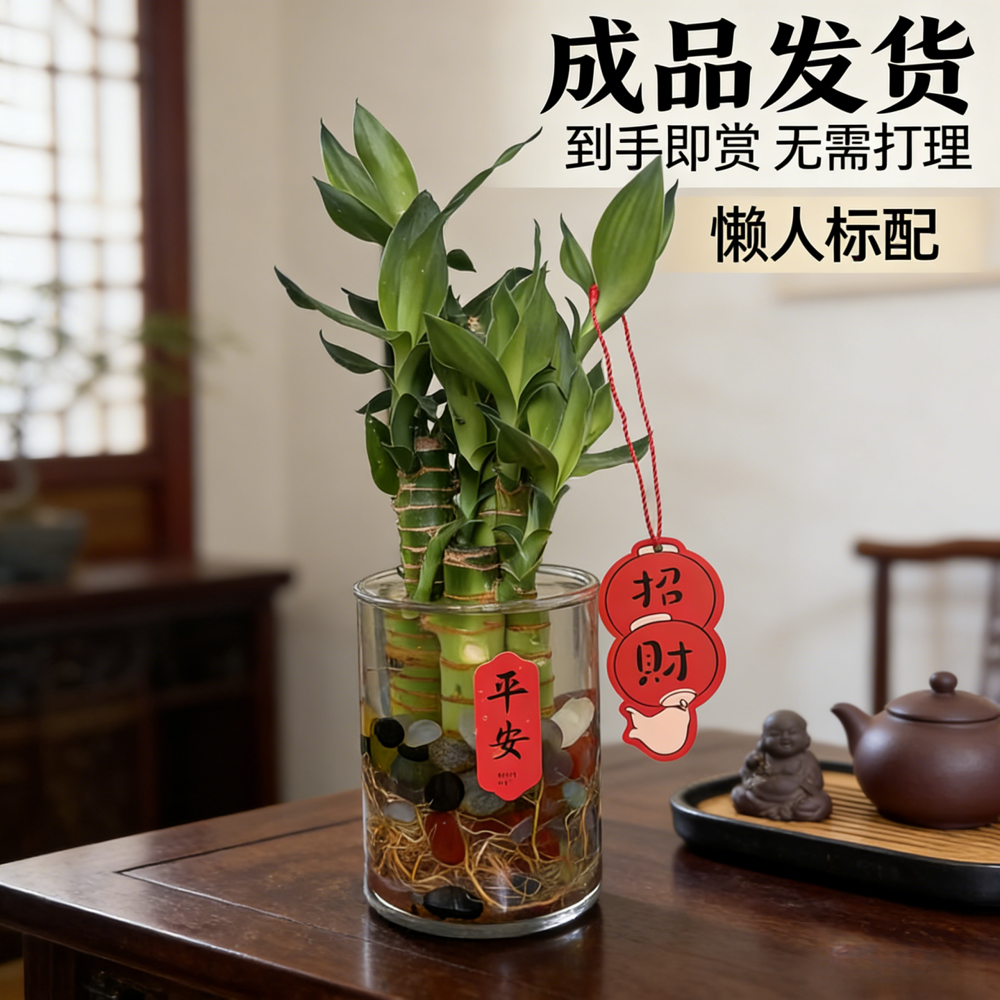富贵竹水培植物带根文昌竹办公桌绿植创意内发财竹客厅节节高绿植