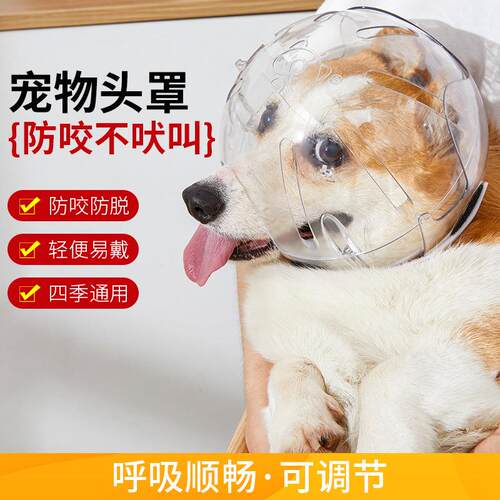 狗狗太空头套防咬透气伊丽莎白宠物项圈塑料猫咪头罩宠物用品