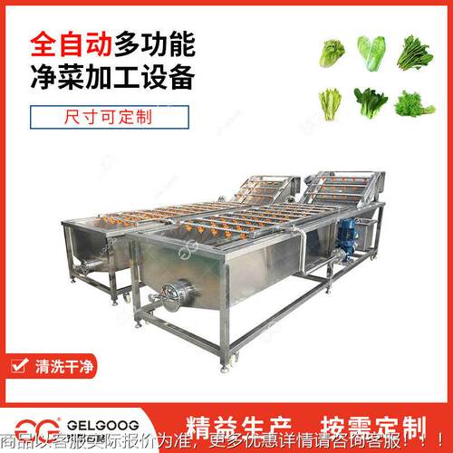 青菜净菜加工设动备 菜去泥械清洗机 全自蔬Gelgoog菜菠洗菜机