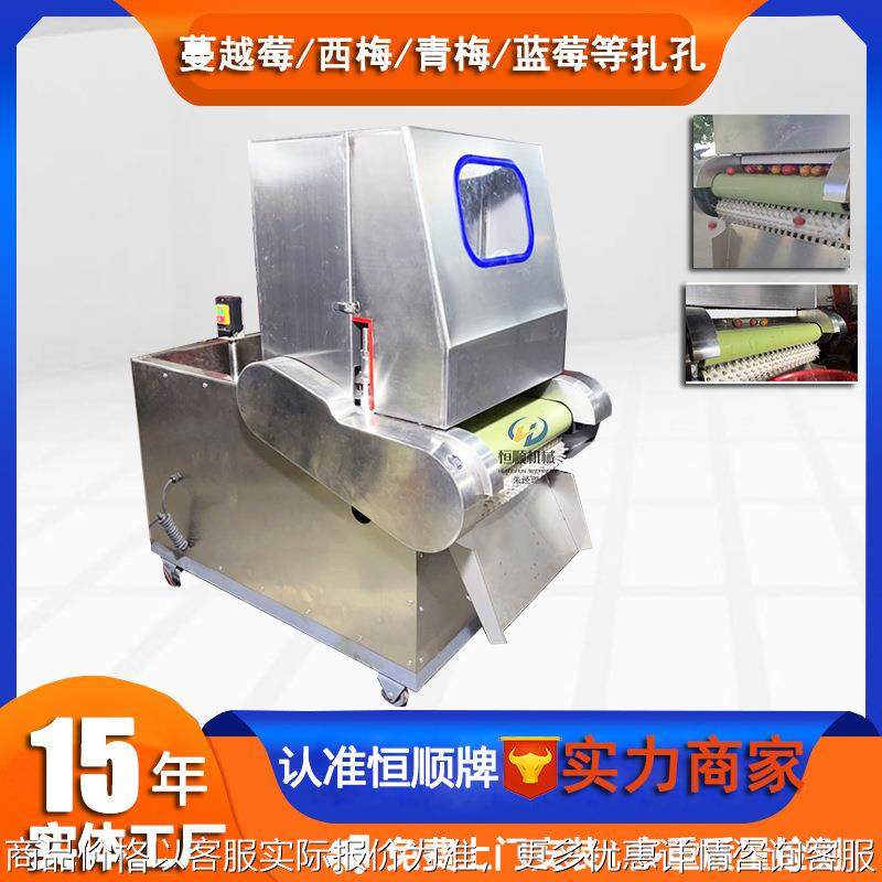 果脯蜜饯杏子刺孔机 水果加工前处理蔓越莓扎孔机,厨房电器,削皮机,淘宝优惠券,粉丝福利购,淘宝优惠卷