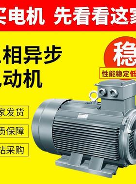 高效水泵风机185W三相异步电动机YE3-355M2-6三相电机马达