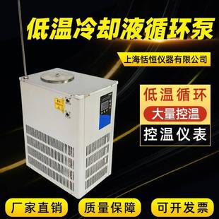 加工定制低温冷却液循环泵冷水机5 20L实验室低温冷却循环泵