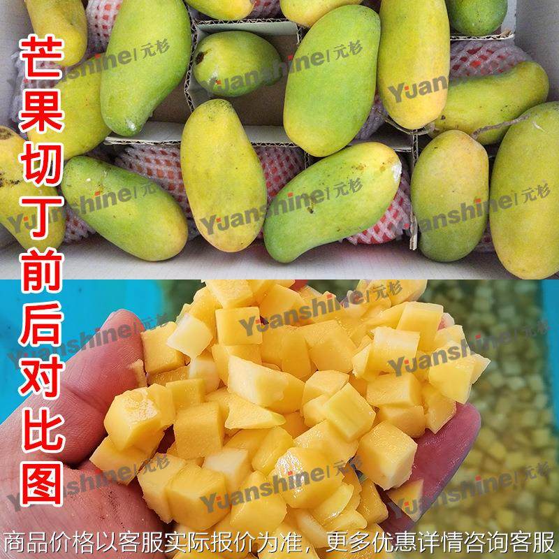 商用果蔬高速切丁机 大产量菠萝柠檬切丁机 苹果哈密瓜切丁切条机,农机/农具/农膜,其它农用工具,淘宝优惠券,粉丝福利购,淘宝优惠卷