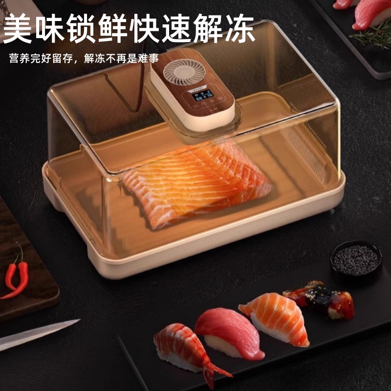 德国进口智能暖风快速解冻器