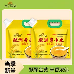 2025当季新米胶洲黄小米州马店农家自产米油醇厚糯香五谷杂粮月子