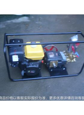 高压喷雾器120190喷雾器果林药泵打药机喷雾机大压力喷雾机