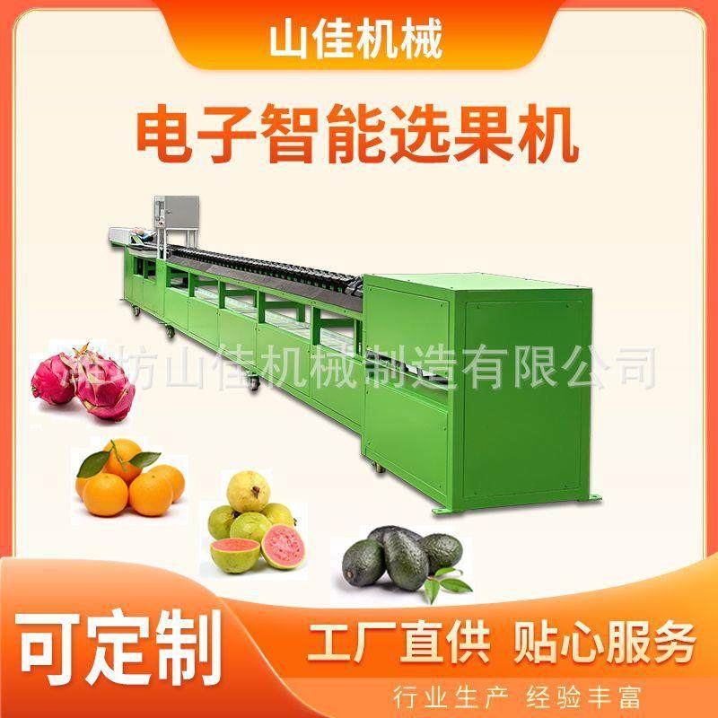 人参果重量分选机火龙果柠檬克重选果机柑橘橙子全自动称重分级机,清洗/食品/商业设备,肉制品加工设备,淘宝优惠券,粉丝福利购,淘宝优惠卷