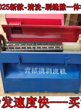 青核桃去皮机小型家用鲜