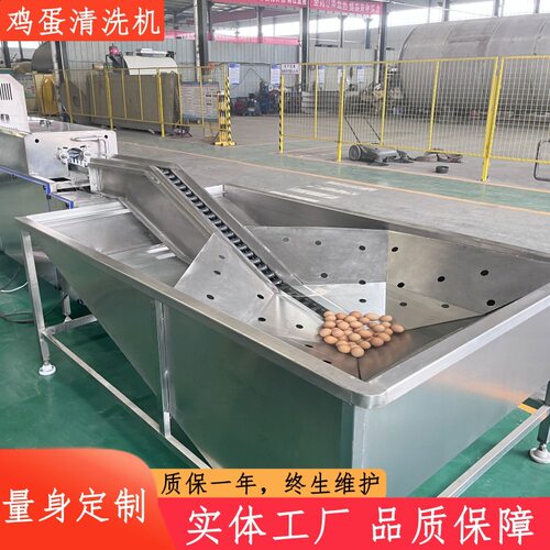 不锈钢蛋类清洗机蛋品清洗