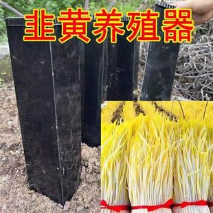 蒜黄韭黄种植筒遮阳罩家用隔光用韭菜遮光塑料罩防晒农业蒜黄神器