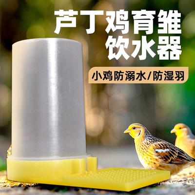 芦丁鸡饮水器喂食器饲喂水器壶鹌鹑雏自动喝水神器小幼鸡育雏专用