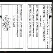 线装 共43个筒子页 古籍 张天师看病