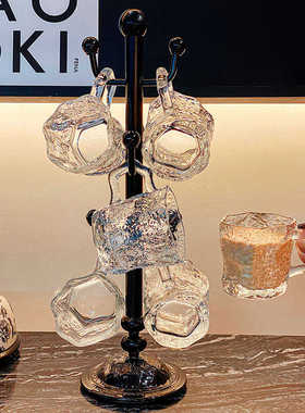 轻奢玻璃杯家用套装耐热饮水杯下午茶杯高颜值2025新款早餐牛奶杯