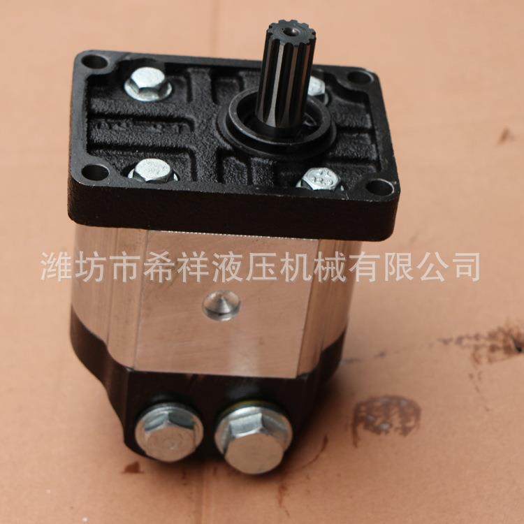 齿轮泵12/14右旋花键11齿液压油泵现货销售齿轮油泵,五金/工具,其它泵类型,淘宝优惠券,粉丝福利购,淘宝优惠卷