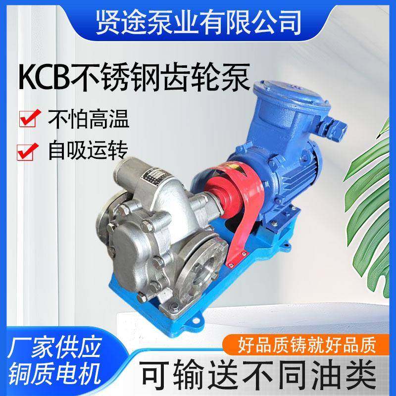 304不锈钢齿轮泵KCB系列齿轮油柴油机油抽油泵自吸泵工业用现货,五金/工具,其它泵类型,淘宝优惠券,粉丝福利购,淘宝优惠卷