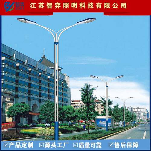 厂家D直销 城市主干道WDO臂LE路灯 道路照明双杆路灯双小 金豆星